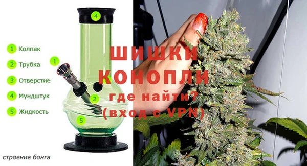 тгк Новосибирск