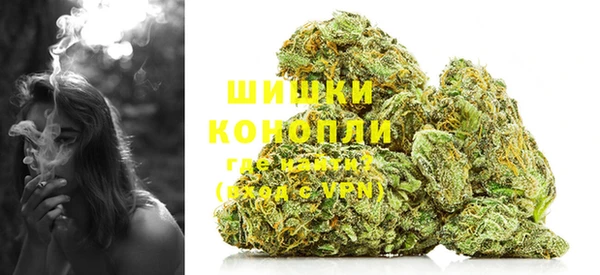 тгк Новосибирск
