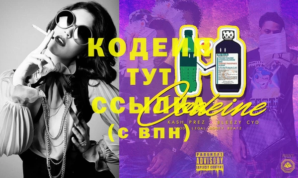 тгк Новосибирск