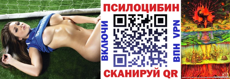 Галлюциногенные грибы GOLDEN TEACHER  где найти наркотики  kraken зеркало  Давлеканово 